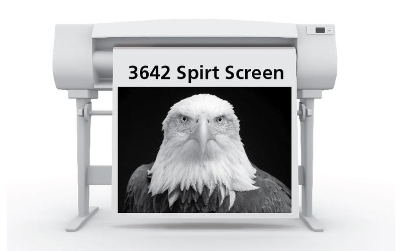 17 in. x 100 ft. Sihl 3642 Spirit II Screen Positive Film, 5 mil (1 Roll)