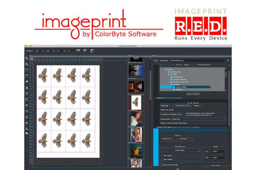 Colorbyte IMAGEPRINT R.E.D. Software