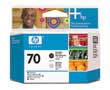 HP 70 Photo Black and Light Gray Printhead