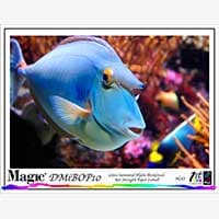 Magic DMIBOP Poster Banner/Wall Covering 11 mil