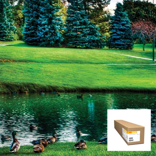 Kodak PROFESSIONAL Inkjet Smooth Fine Art Paper 315 gsm